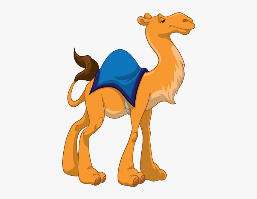 Camel