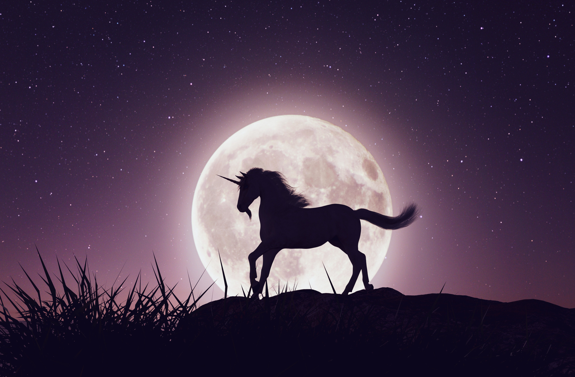 Unicorn