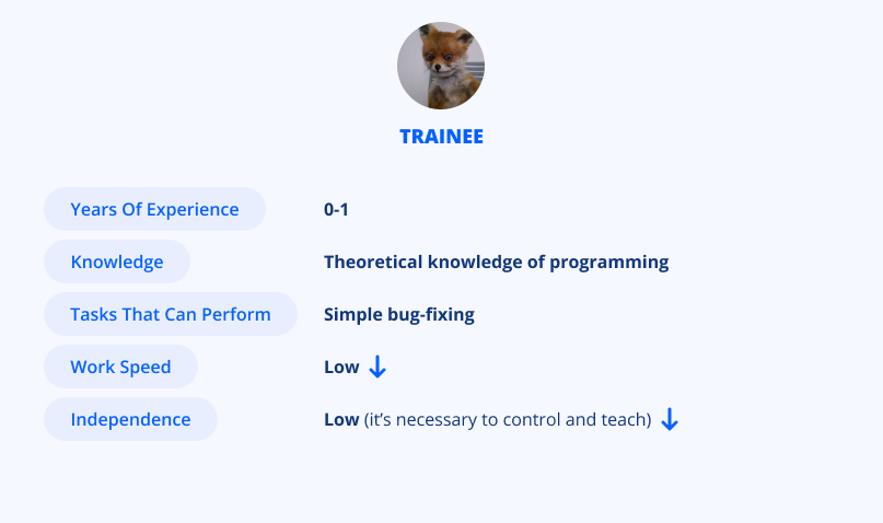 Profile of a trainee developer
