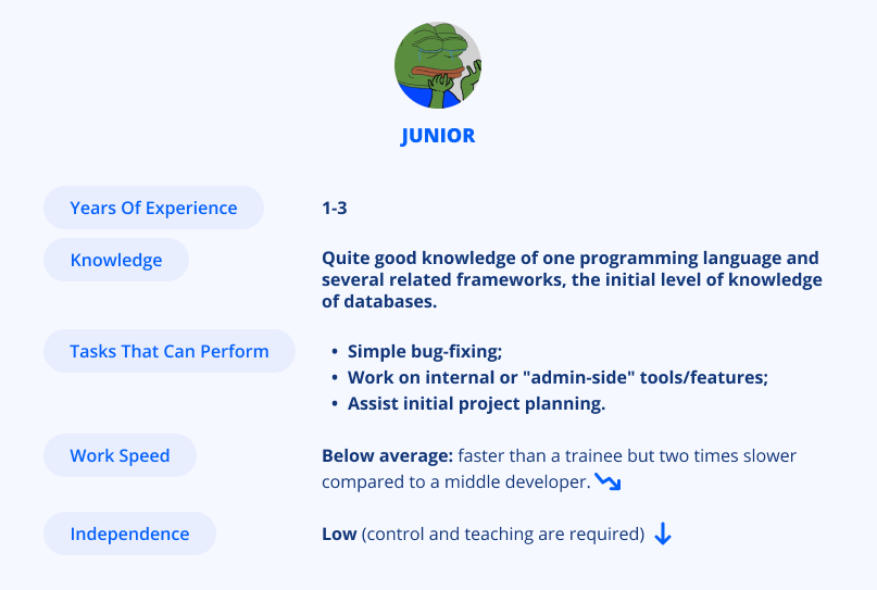 Profile of a junior developer