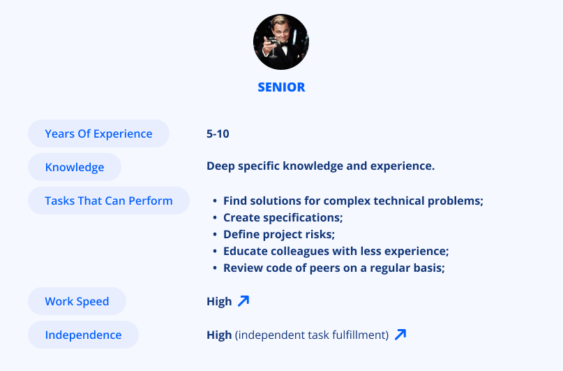 Profile of a senior developer