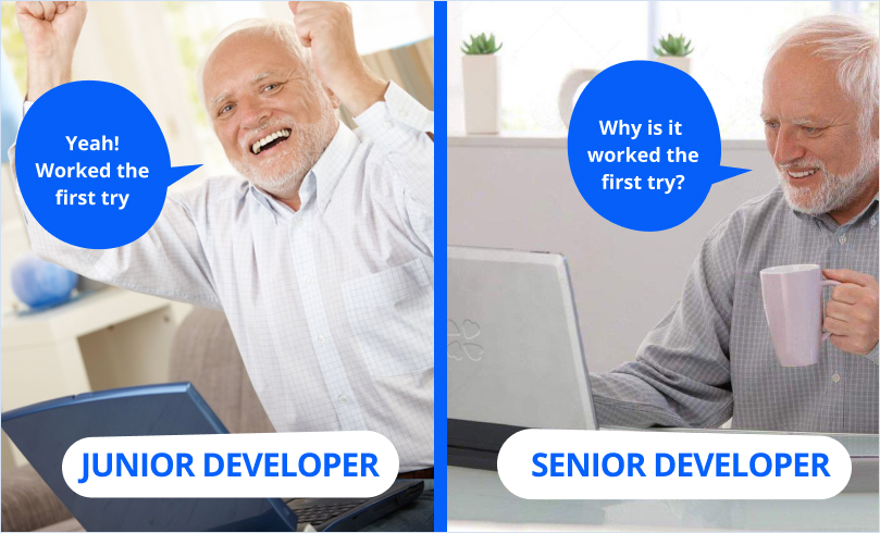  Junior vs senior developer