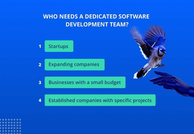 Who needs a dedicated software development team